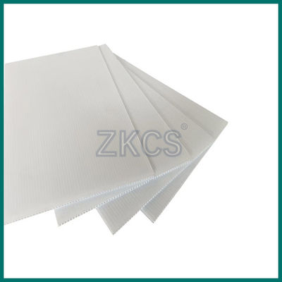 กระดาษ พลาสติก ผนัง ผนัง ผนัง ผนัง ผนัง ผนัง ผนัง ผนัง ผนัง ผนัง ผนัง ผนัง ผนัง ผนัง ผนัง ผนัง ผนัง ผนัง ผนัง